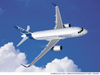 Passenger Aircraft -- A319