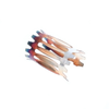 Backplane Connector Contacts - A136130-ND - DigiKey