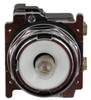 Indicating Light -- 10250T184NF - Image