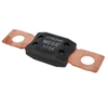 Fuses - 0MEG175.L-ND - DigiKey