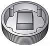 Explosionproof Closure Plug -- PLG250CA - Image