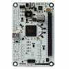 Embedded MCU, DSP Evaluation Boards - 175-LANDUNGSBRUECKE-ND - DigiKey