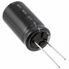 Aluminum Electrolytic Capacitors - 493-12431-ND - DigiKey