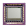 Sensors, Transducers - Optical Sensors - Image Sensors, Camera - NOII5SM1300A-QDC - Shenzhen Shengyu Electronics Technology Limited
