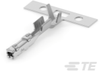 Automotive Terminals - 2040168-1 - TE Connectivity