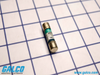 BUSS Fuses -- FNM-6.250