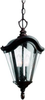 9519TZG Exterior -Hanging - 365060 - Capital Lighting, Inc.