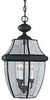 Exterior -Hanging - 265666 - Light Center (The)