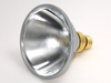 75 Watt, 120 Volt Halogen PAR38 Spot - FAN3042 - bulbs.com