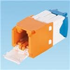 Modular Connectors / Ethernet Connectors - CJD6X88TGOR - VAST STOCK CO., LIMITED
