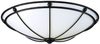 F201149U Flush Mounts-Bowl Style - 733366 - Capital Lighting, Inc.