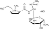 Clindamycin, HCl - 8537 - Medical Isotopes, Inc.