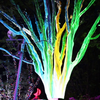 MACBEAM® Fiber-Optic Light Source