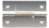 Hinges, Spring Hinges -- 1117-02 - Image