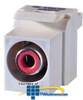 Legrand - Ortronics TechChoice Keystone RCA Module to 110.. - OR-KSRCAR - TelephoneStuff.com