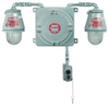 Explosionproof Emergency Lighting Unit with Fixture - ELS12812 - Appleton Electric