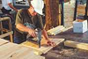 Cut OSB/Plywood -  - Universal Forest Products