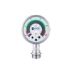 Flush pressure sensor with display -- PG1704 - Image