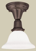 Semi-Flush Mts.-Bowl Style - 381043 - Light Center (The)