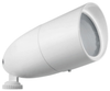 Floodlight Fixture - LFP16W - RAB Lighting