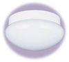 Flush Mounts-Bowl Style - 296906 - Light Center (The)