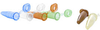Microcentrifuge Tubes w/ Graduations -- 399325-0006 - Image