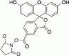 5-Carboxyfluorescein-N-hydroxysuccinimide Ester - 4997 - Medical Isotopes, Inc.