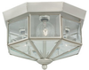 Flush Mounts-Cage Style - 243544 - Light Center (The)