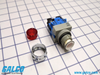 IDEC Pushbutton Illuminated - ALW29920D-R-120V - Galco Industrial Electronics
