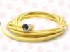 QD Cable/Cord Set - 149992660 - Radwell International