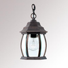 Exterior -Hanging - 299813 - Light Center (The)
