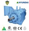 Hyundai Crown Triton Motor Series - Severe Duty Large Frame Motors -- HSDE400-18-L449T