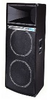 Full-Range Enclosure - DJS 4 - Visual Sound, Inc.