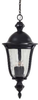 Exterior -Hanging - 205530 - Light Center (The)