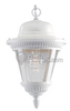 One-Light Outdoor Hanging Lantern Fixture - P5530-30 - bulbs.com