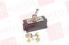Toggle Switch -- 123686961 - Image