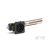 Power, Line Cables and Extension Cords - 1734-2-2208884-1-ND - DigiKey
