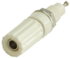 Banana Connectors -- 6458691 - Image