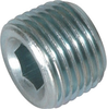 1/2" NPTM Counter Sunk Plug - 8133464 - Princess Auto Limited