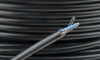 560404