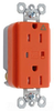 Surge Suppression Receptacle - TRIG5262-OSP - Thomas & Betts Corporation