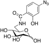 N-(4-Azidosalicyl)-6-amido-6-deoxy-glucopyranose - A858000 - Toronto Research Chemicals, Inc.