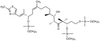 (3S,6R,7S,8S,12Z,15S,16E)-1,3,15-Tris-[[tert-butyl(dimethy.. - 31806 - Medical Isotopes, Inc.