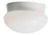 Flush Mounts-Bowl Style - 239707 - Light Center (The)