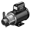 Ryton PPS Magnetic Drive Pump, 25 GPM, 115/230 VAC -- GO-07085-25 - Image