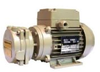 Single Stage Motor Mounted Liquid Ring Vacuum Pumps - DV0002B-M - DEKKER Vacuum Technologies