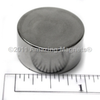 Disc Magnets (Axial) - D500H - Amazing Magnets, LLC