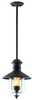Exterior -Hanging - 264948 - Light Center (The)