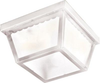 6203FTWT Exterior -Ceiling Mount - 409108 - Capital Lighting, Inc.