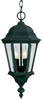 Exterior -Hanging - 207482 - Light Center (The)